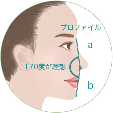 顔貌分析（側面：プロファイル）